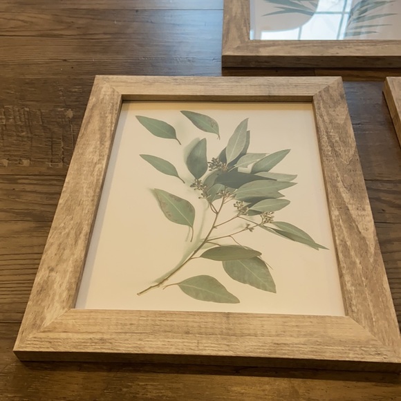 Leaf pictures in frames bundle - Picture 5 of 7